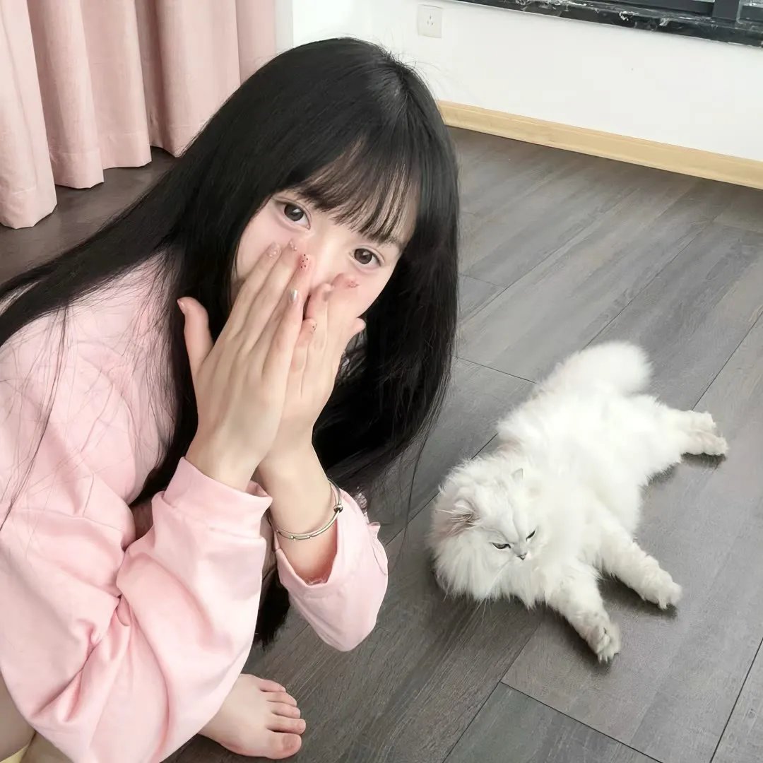 豹